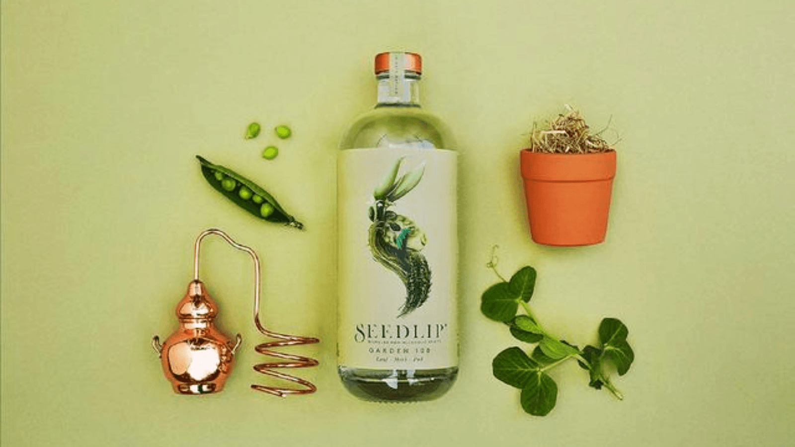 Seedlip Garden 108, alcoholvrije gin. Fles met etiket en logo, groene achtergrond en planten