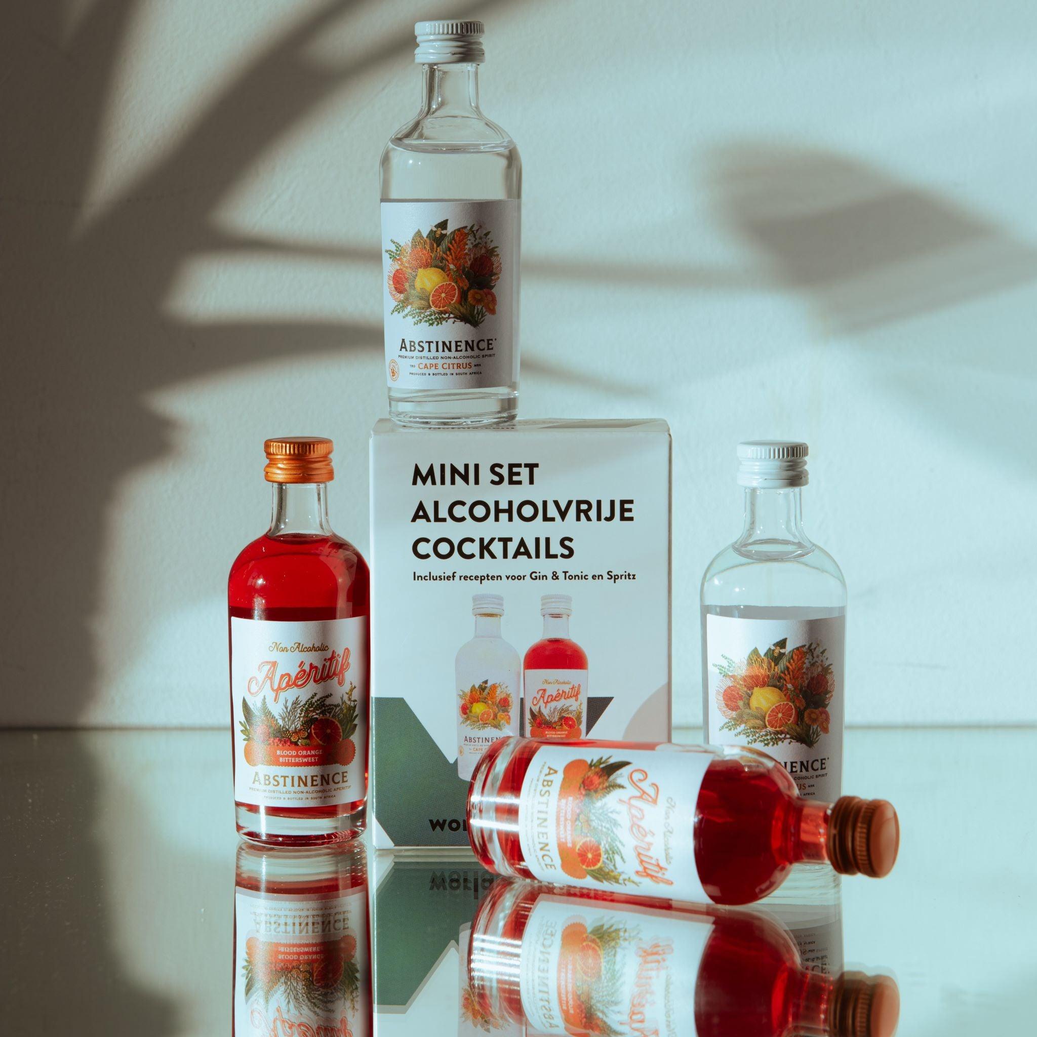 Mini Cocktail Bar - Ontdek alcoholvrije spirits - World of NIX