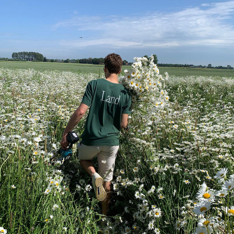 Wilder Land wordt gemaakt op het platteland