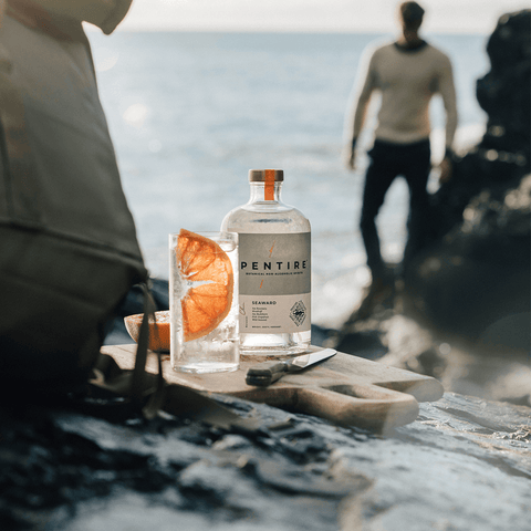 Alcoholvrije gin van Pentire Seaward met een mocktail