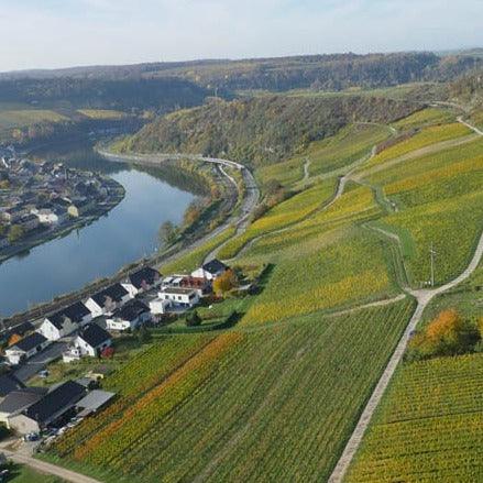 Weingut Apel - Riesling - World of NIX