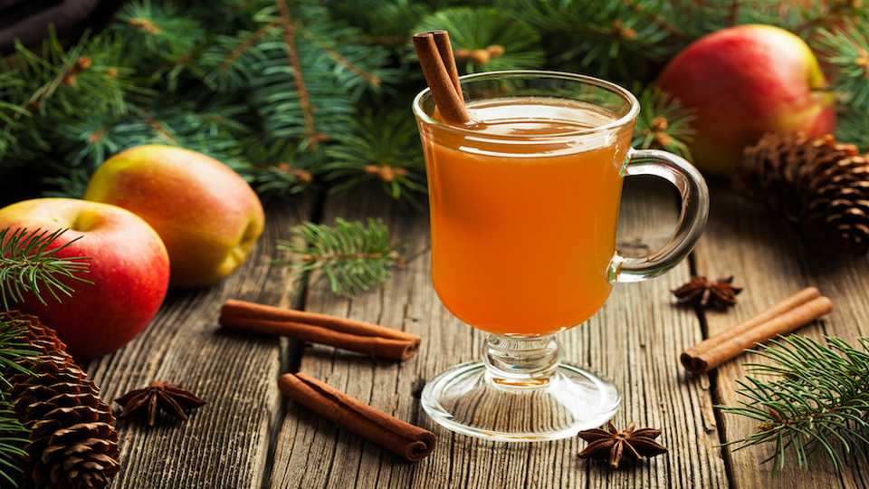 Glas warme appel cider met kaneelstokje, appels, dennenappels en kruiden op houten tafel | World of NIX
