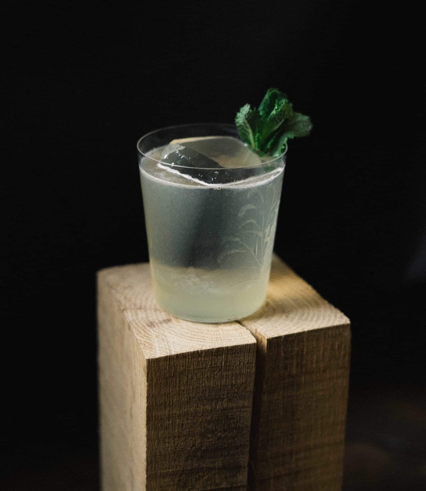 Glas alcoholvrije mojito met munt en ijsblokje op houten blok, donkere achtergrond | World of NIX