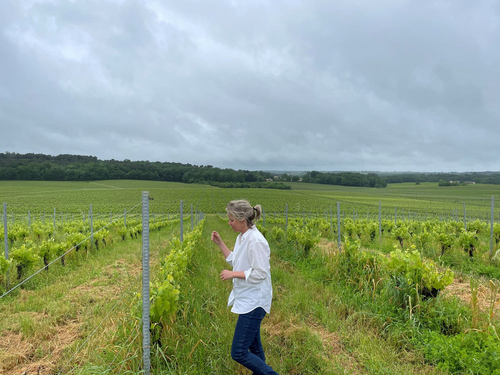 Bordeaux region