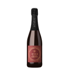 Fles ACALA sparkling tea winter style