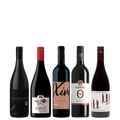 Non-alcoholic wine special red wines