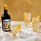 Alcoholvrije {{ product.product_type }} Botivo - Botivo Aperitif (nieuwe barcode) | World of NIX