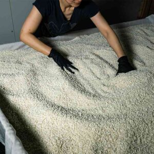 Choro Koji - Ama Shizuku