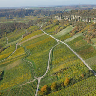 Weingut Apel - Rosé Sekt