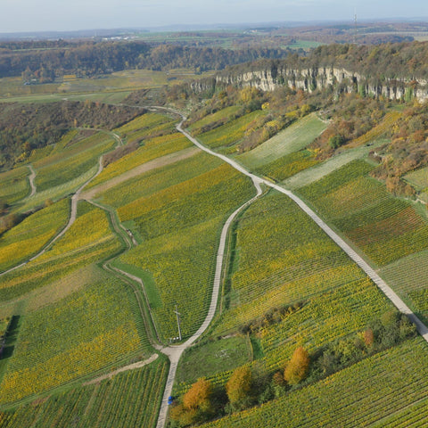 Weingut Apel - Rosé Sparkling