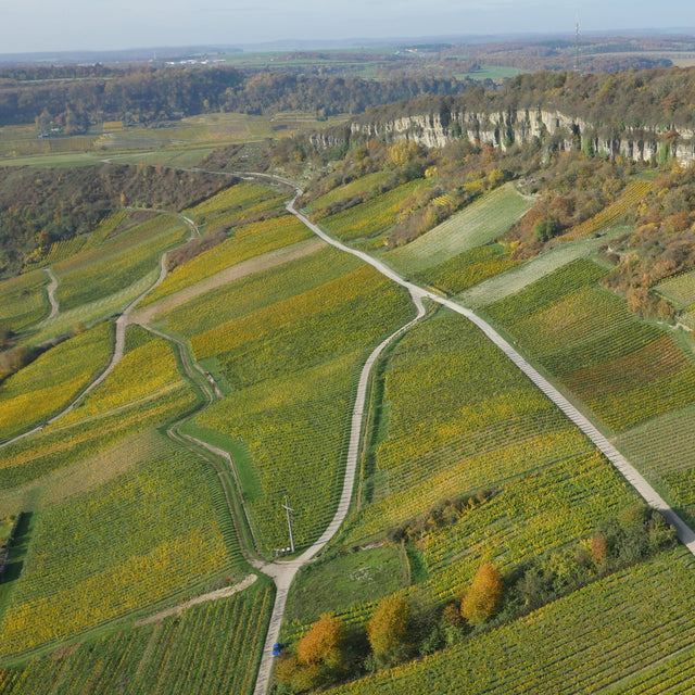 Weingut Apel - Rosé Sparkling