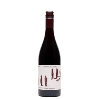 Packshot now wine van Gnista Italian Style