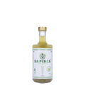 Sapinca kruidige alcoholvrije elixer in fles, World of Nix assortiment, organic spirit
