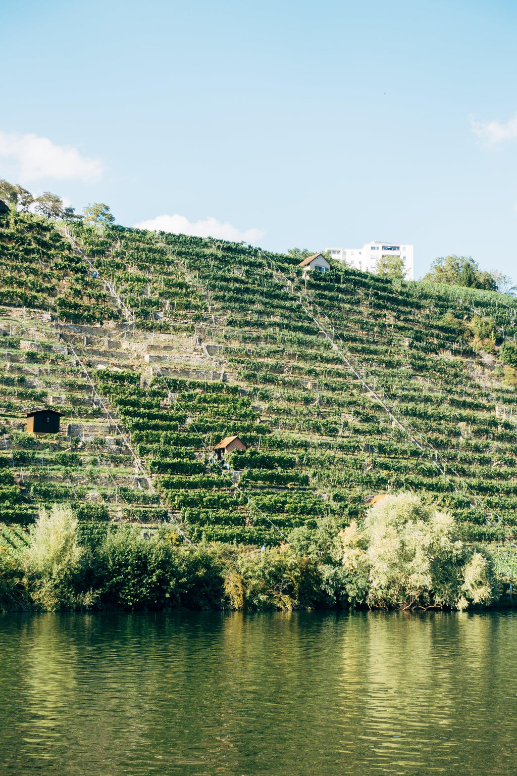 Leitz - Eins Zwei Zero Riesling - World of NIX