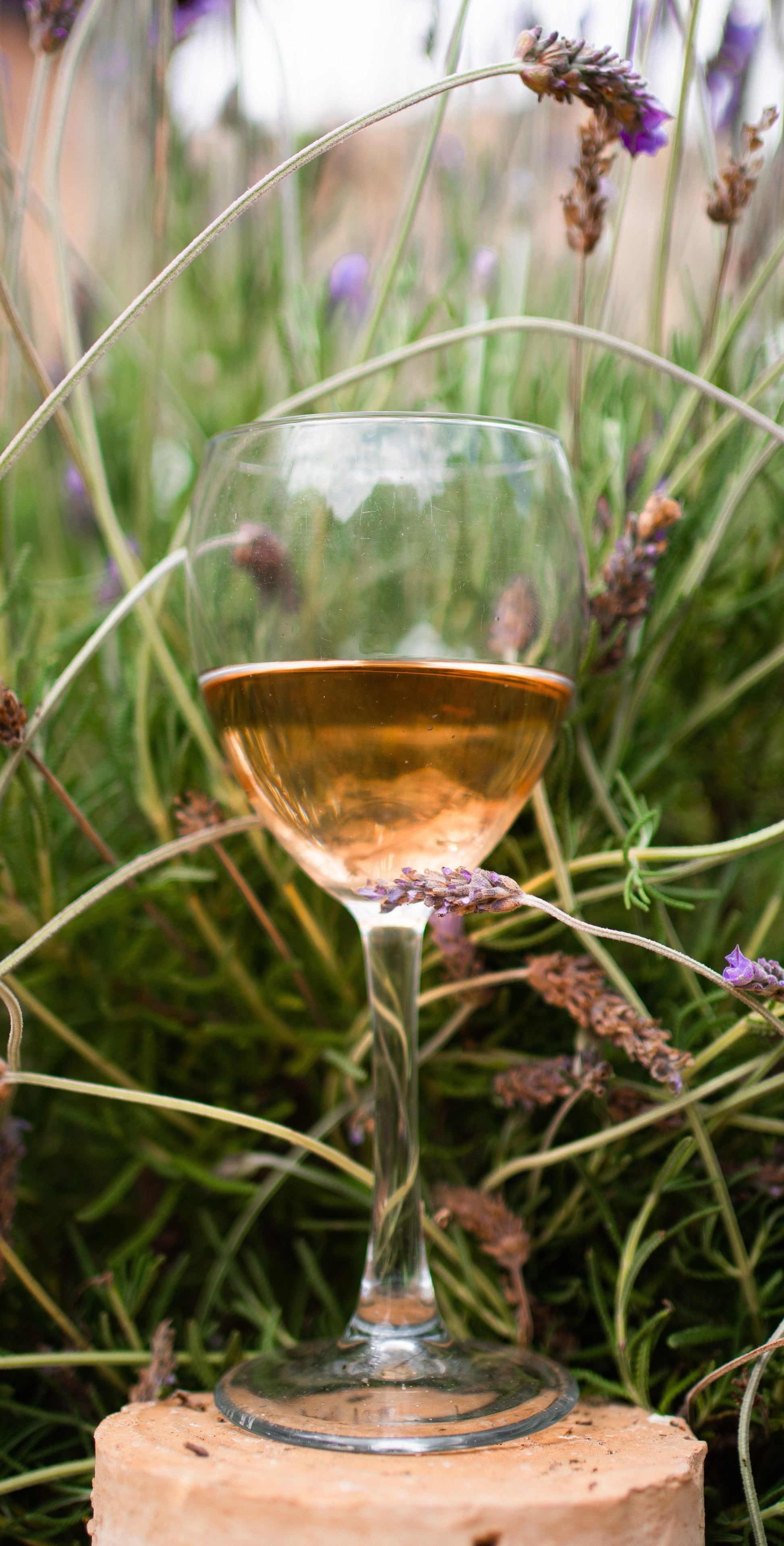 Leitz - Eins Zwei Zero Rosé - World of NIX
