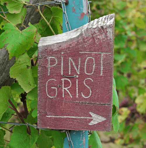 ME.JS - Ohne Kater Pinot Gris - World of NIX