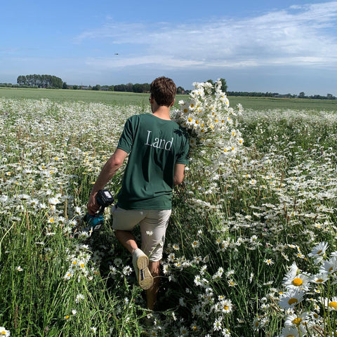 Wilder Land wordt gemaakt op het platteland