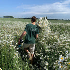 Wilder Land wordt gemaakt op het platteland