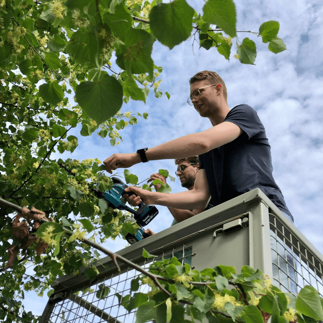 Er wordt gewerkt aan de drank van Wilder Land
