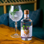 Sober Spirits - SoberGin