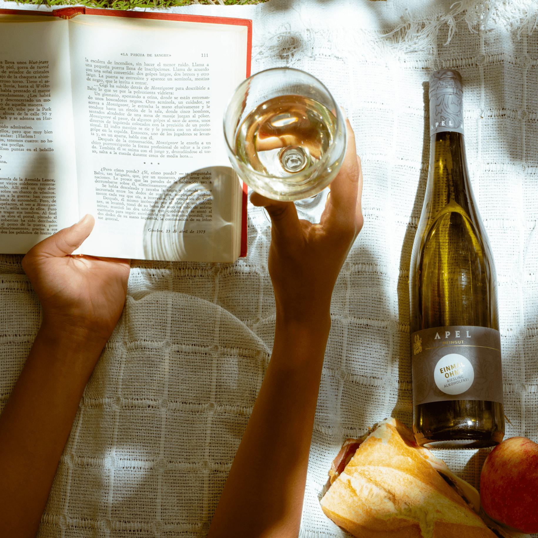 Weingut Apel - Riesling - World of NIX